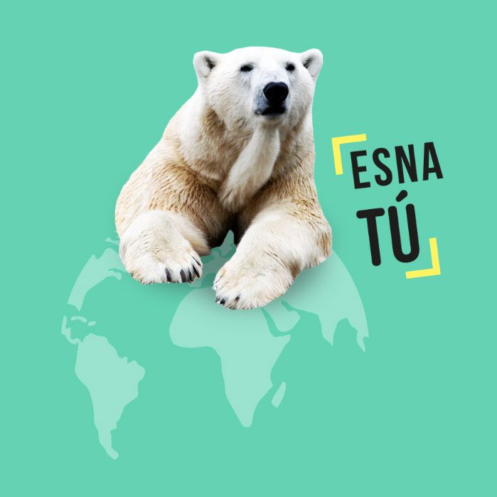 ESNA TU - SOSTENIBILIDAD Y ECOLOGISMO