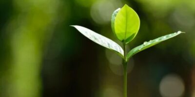 Garapenerako lankidetza-proiektuetan ingurumen-jasangarritasuna sartzeko tresnei buruzko ikastaroa Donostian